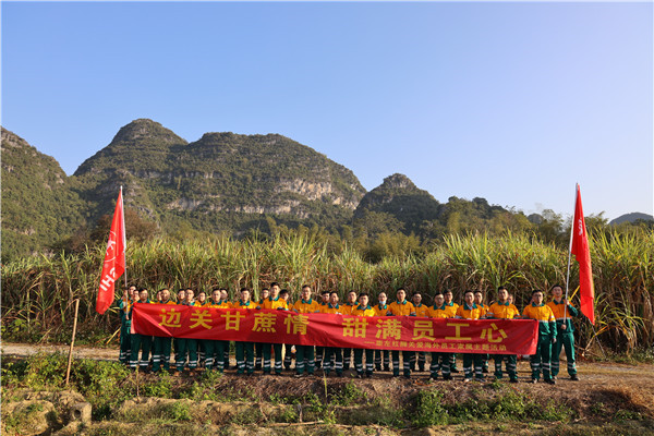 邊關(guān)甘蔗情，“甜”滿員工心—崇左紅獅助海外員工家屬收甘蔗